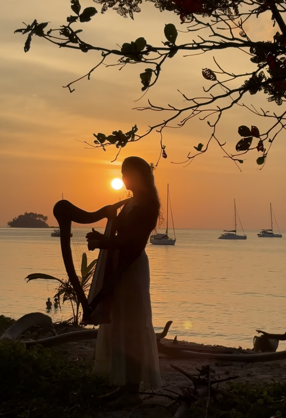 Musicians and Thinkers